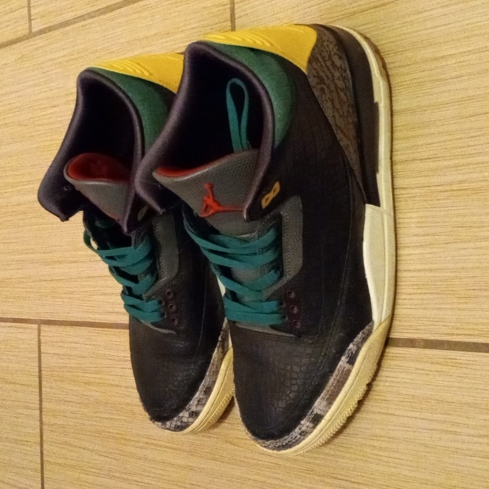 Jordan 3 Animal 💚 ♥️ 💛 instinct